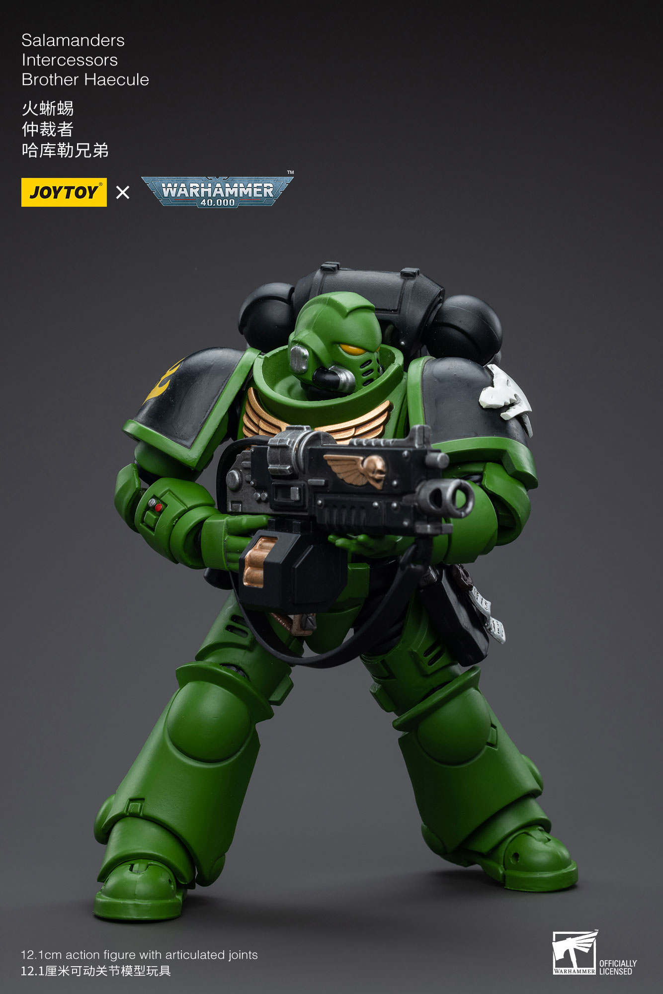 JoyToy Warhammer 40K Salamanders Intercessors Brother Haecule » Joytoy  Figure